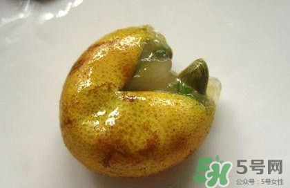 黃皮果核能治療什么病？黃皮核的功效與作用