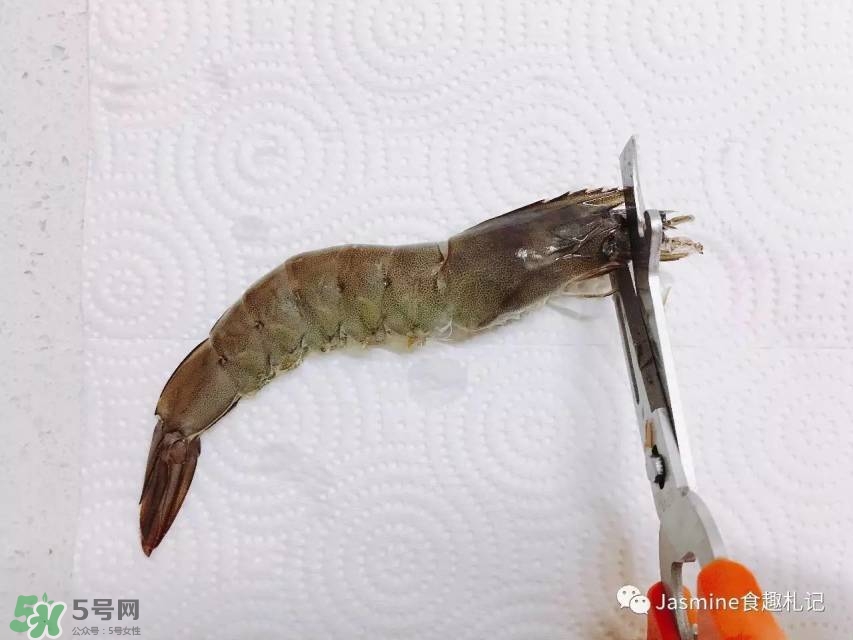 活基圍蝦怎么保存？活基圍蝦怎么處理干凈？