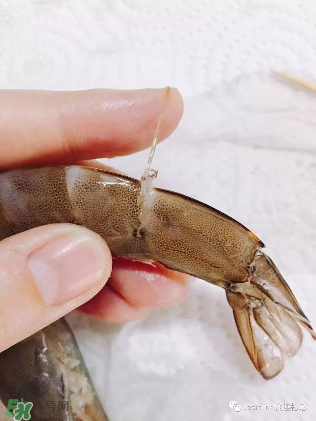 活基圍蝦怎么保存？活基圍蝦怎么處理干凈？