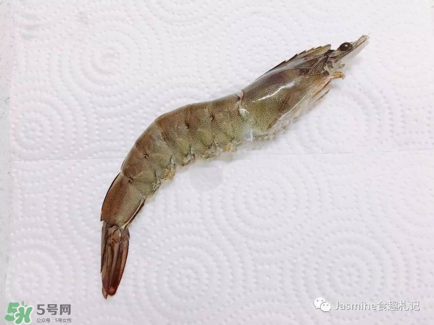 活基圍蝦怎么保存？活基圍蝦怎么處理干凈？