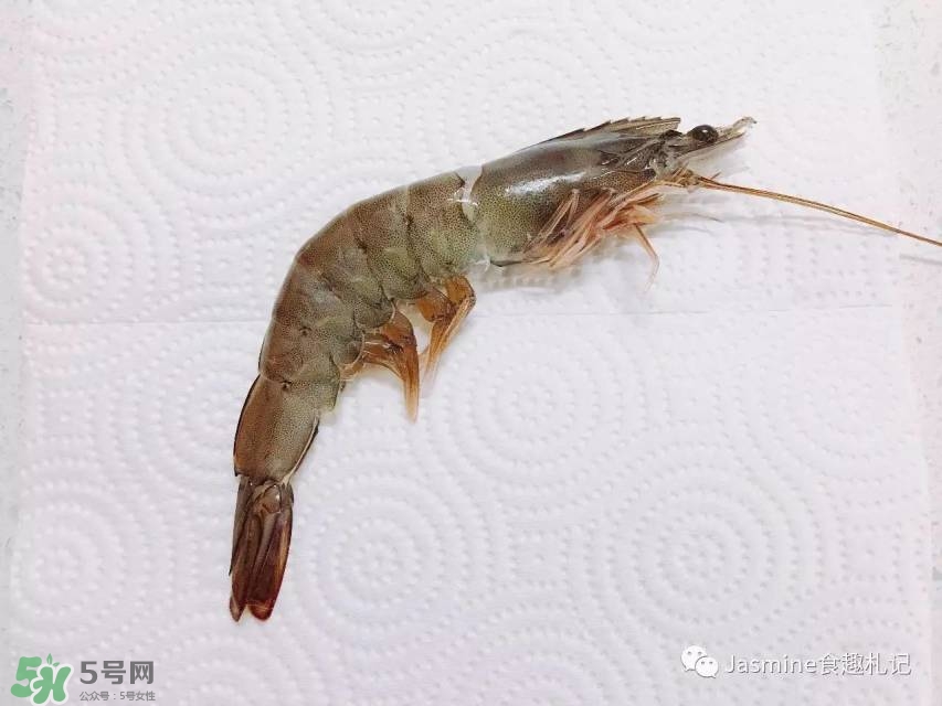活基圍蝦怎么保存？活基圍蝦怎么處理干凈？