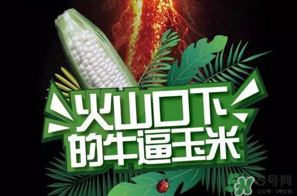 微玉冰糖玉米小孩可以吃嗎？微玉冰糖玉米營養(yǎng)豐富嗎？