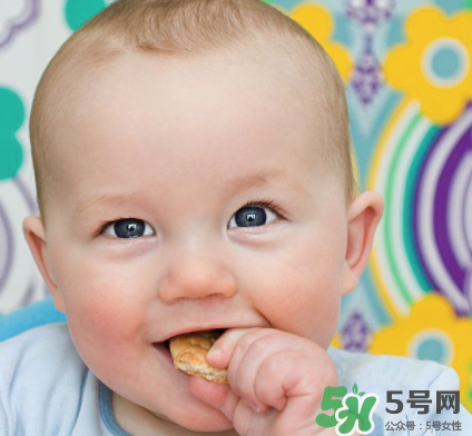 磨牙餅干吃不完怎么辦？磨牙餅干吃到多大？