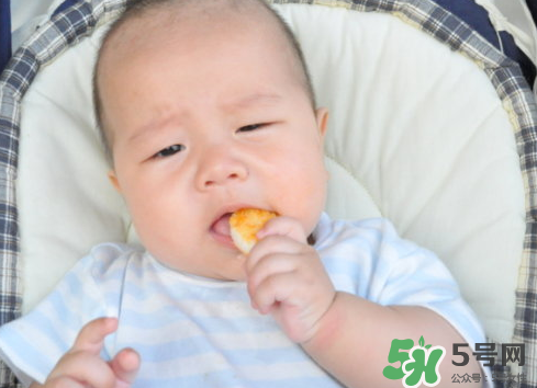 磨牙餅干吃不完怎么辦？磨牙餅干吃到多大？