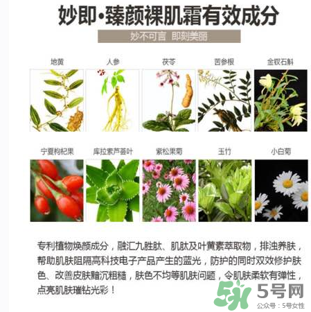 妙即素顏霜怎么樣？妙即素顏霜多少錢一盒？
