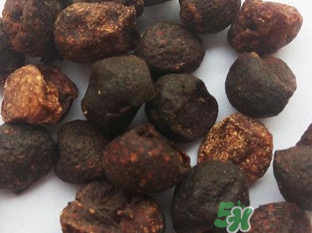 山黃皮的功效是什么？山黃皮的功效與作用