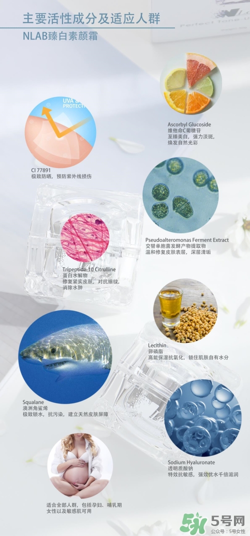澳洲nlab素顏霜怎么用？nlab素顏霜孕婦可以用嗎