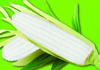 白玉米煮后變黃能吃嗎？白玉米為什么變黃了？