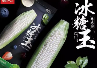 冰糖玉米?是轉(zhuǎn)基因嗎？冰糖玉米多少錢一斤？