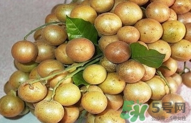 山黃皮怎么做好吃？山黃皮有什么藥用價(jià)值