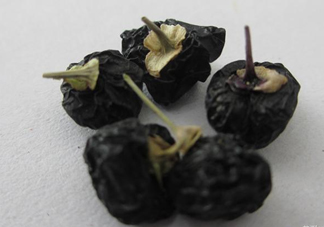 黑枸杞可以和菊花一起喝嗎？菊花和黑枸杞一起喝好嗎