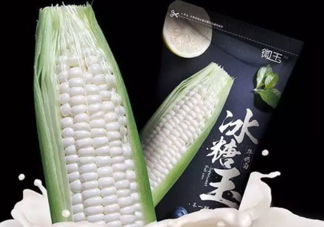 微玉冰糖玉米可以生吃嗎？微玉冰糖玉米安全嗎？