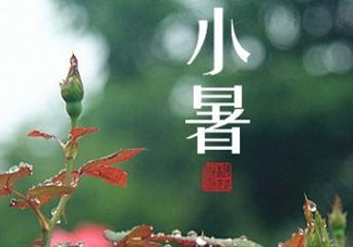 小暑種什么菜？小暑為什么要種牽?；?？
