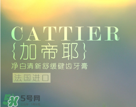 cattier加帝耶是什么牌子？法國(guó)cattier什么檔次？