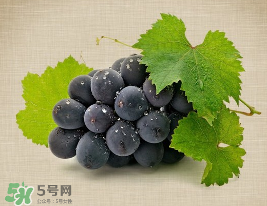夏黑葡萄多少錢一斤？夏黑葡萄怎么挑選？