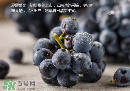 夏黑葡萄皮能吃嗎？夏黑葡萄怎么吃？