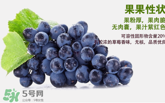 夏黑葡萄怎么洗？夏黑葡萄怎么洗才干凈？