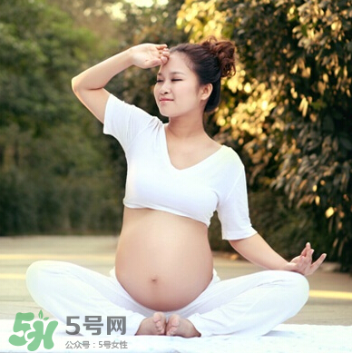 孕婦可以吃竹葉菜嗎？竹葉菜孕婦可以吃嗎？