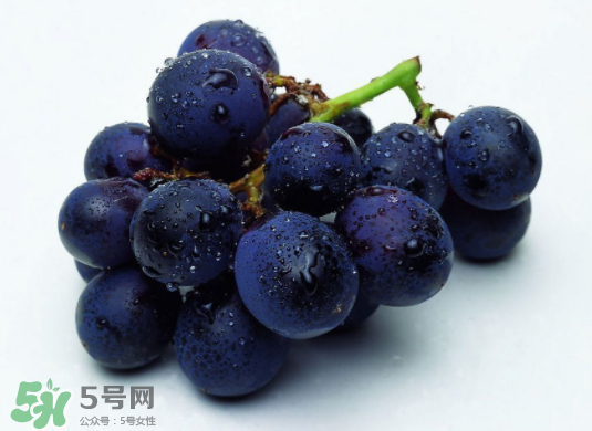 巨峰葡萄和葡萄有什么區(qū)別？巨峰葡萄是轉(zhuǎn)基因的嗎？