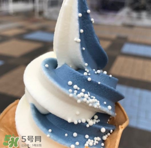 鯨鯊冰淇淋好吃嗎？鯨鯊冰淇淋多少錢？