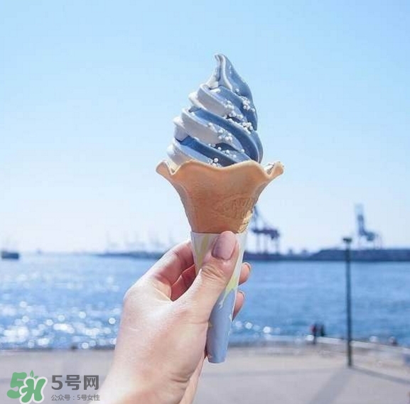 鯨鯊冰淇淋好吃嗎？鯨鯊冰淇淋多少錢？