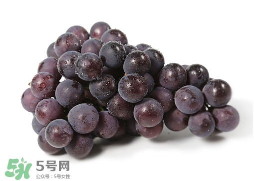 巨峰和夏黑哪個好吃？哪個貴？有什么區(qū)別？