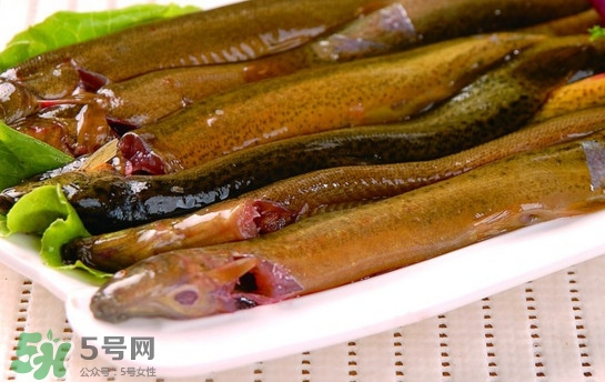 鰻魚是泥鰍嗎？鰻魚與泥鰍什么區(qū)別