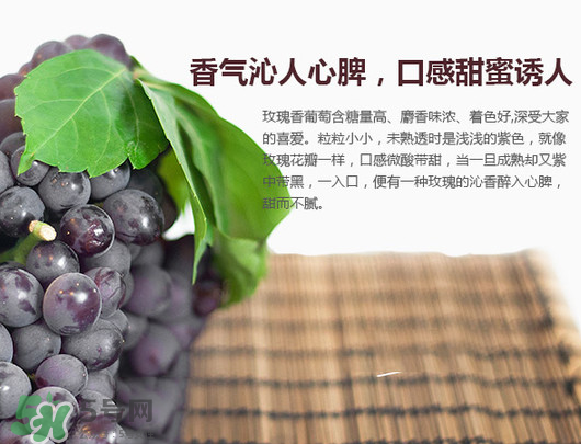 玫瑰香葡萄孕婦能吃嗎？孕婦可以吃玫瑰香葡萄嗎？
