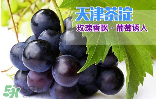 玫瑰香葡萄多少錢(qián)一斤？玫瑰香葡萄多少錢(qián)一斤2017？