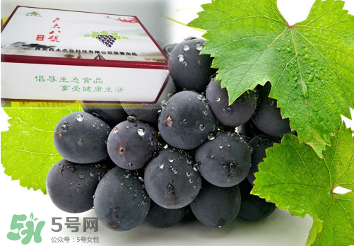 戶太八號葡萄什么時候套袋？戶太八號葡萄什么月份套袋？