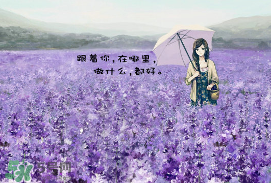 七月份還有薰衣草嗎？7月份還有薰衣草嗎？