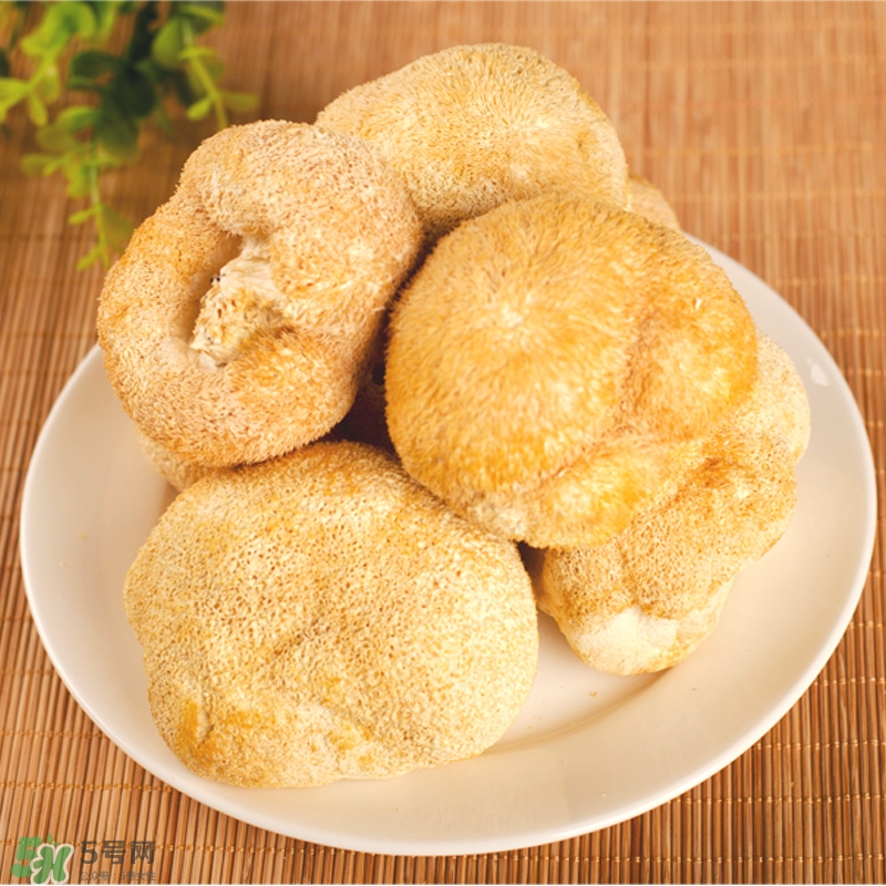 猴頭菇怎樣吃治胃?。亢镱^菇能治胃病嗎？