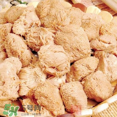 猴頭菇怎樣吃治胃??？猴頭菇能治胃病嗎？