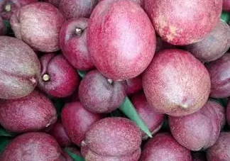 黑桃是什么水果？吃黑桃有什么好處？