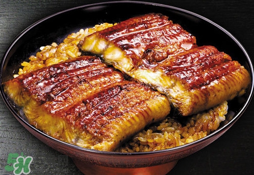 鰻魚飯熱量高嗎？鰻魚飯的熱量有多高