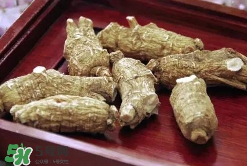 西洋參怎么吃效果最好？西洋參與人參的區(qū)別