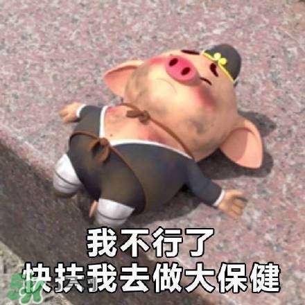 豬小屁表情包是什么？豬小屁表情包為什么這么火？