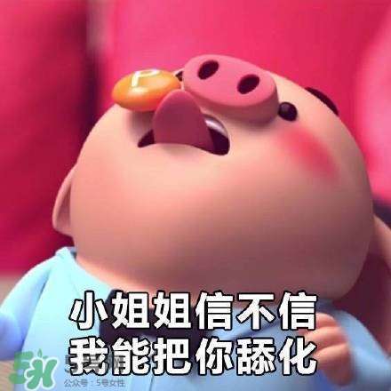 豬小屁表情包是什么？豬小屁表情包為什么這么火？