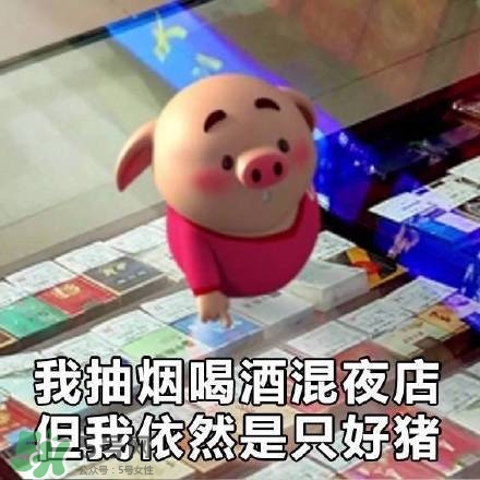豬小屁表情包是什么？豬小屁表情包為什么這么火？