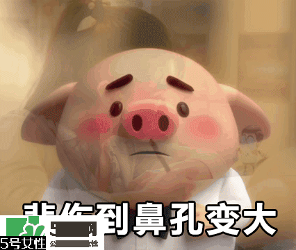 豬小屁多少錢一個(gè)？豬小屁哪里可以買到
