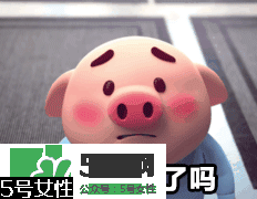 豬小屁多少錢一個(gè)？豬小屁哪里可以買到