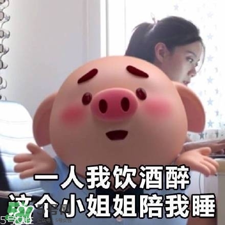 豬小屁多少錢一個(gè)？豬小屁哪里可以買到