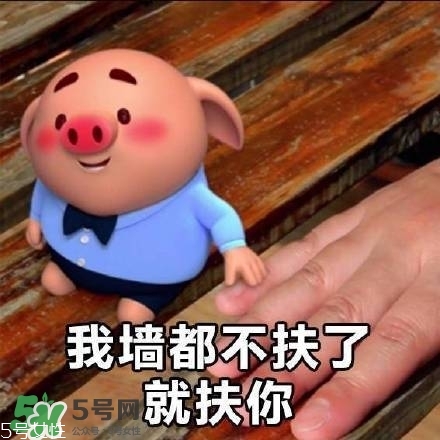豬小屁多少錢一個(gè)？豬小屁哪里可以買到