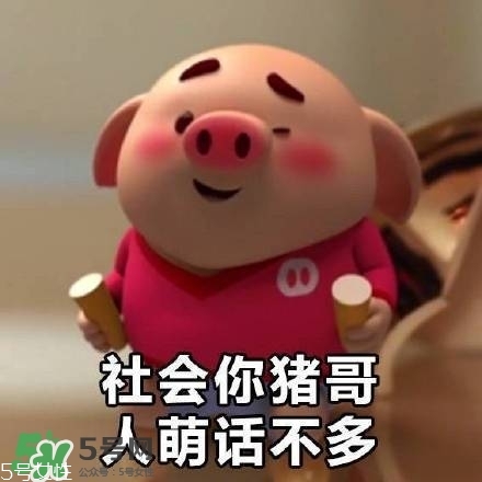 豬小屁多少錢一個(gè)？豬小屁哪里可以買到