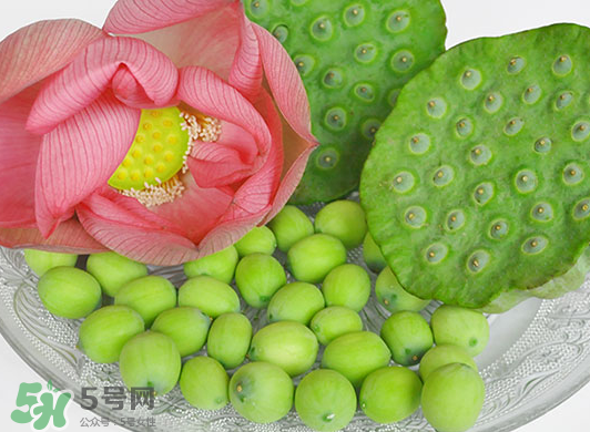 蓮蓬是水果嗎？蓮蓬是水果還是蔬菜？