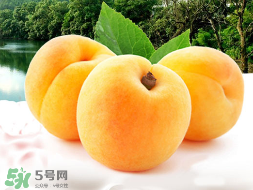黃桃是酸性還是堿性？黃桃罐頭是酸性還是堿性？