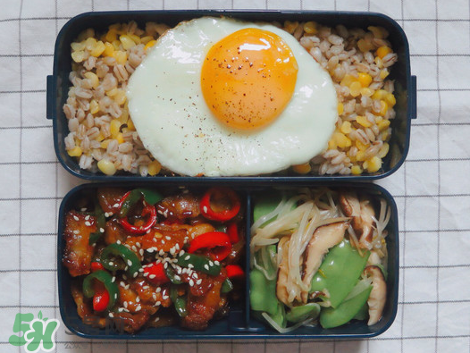 夏天用保溫盒帶飯會壞嗎？夏天能用保溫盒帶飯嗎？