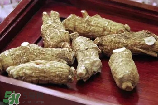 西洋參補(bǔ)腎嗎？西洋參適合什么季節(jié)吃