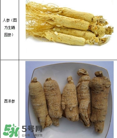 西洋參怎么吃效果最好？西洋參與人參的區(qū)別