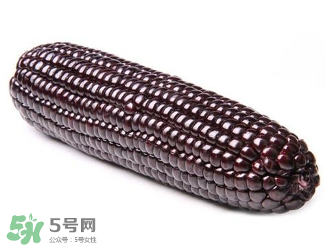 紫玉米會(huì)掉色嗎？紫玉米怎么會(huì)掉色？